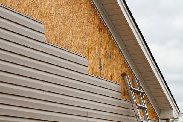 Professional Siding Repair technician working in Dennison, OH